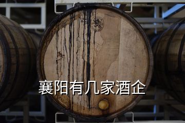 襄阳有几家酒企