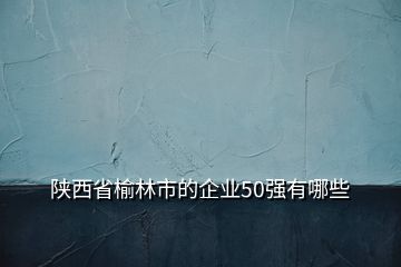 陕西省榆林市的企业50强有哪些