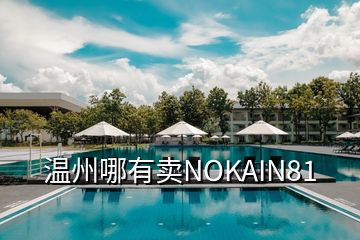 温州哪有卖NOKAIN81