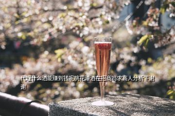 代理什么酒能赚到钱呢桃花潭酒在招商吗求高人分析下谢谢