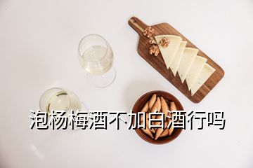 泡杨梅酒不加白酒行吗