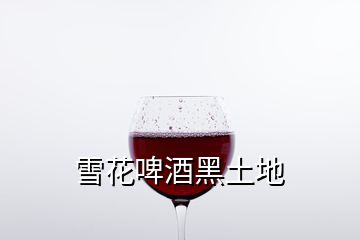 雪花啤酒黑土地