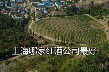 上海哪家红酒公司最好