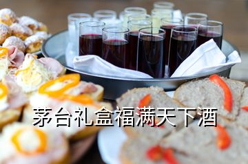 茅台礼盒福满天下酒