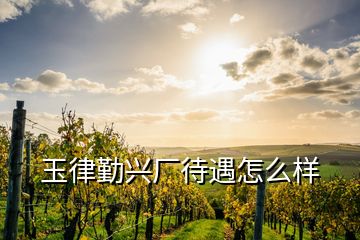 玉律勤兴厂待遇怎么样