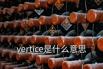 vertice是什么意思