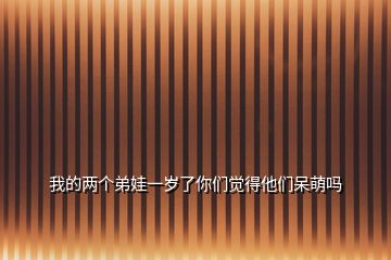 我的两个弟娃一岁了你们觉得他们呆萌吗