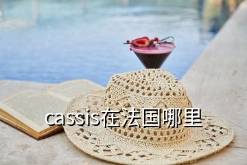 cassis在法国哪里