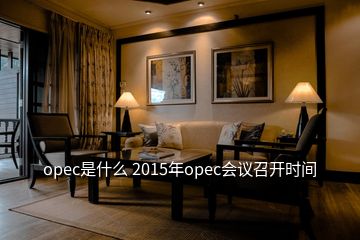 opec是什么 2015年opec会议召开时间