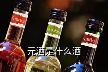 元酒是什么酒