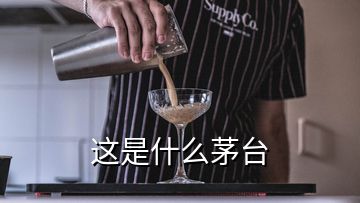 这是什么茅台