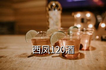 西凤120酒