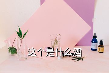 这个是什么酒