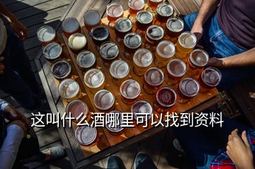 这叫什么酒哪里可以找到资料