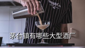 茅台镇有哪些大型酒厂