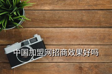 中国加盟网招商效果好吗