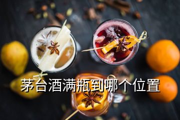 茅台酒满瓶到哪个位置