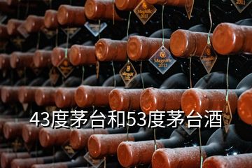 43度茅台和53度茅台酒