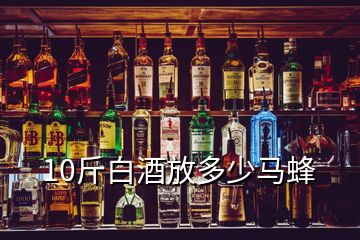 10斤白酒放多少马蜂