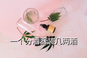 一个分酒器装几两酒