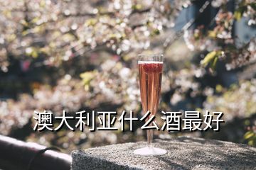 澳大利亚什么酒最好