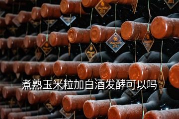 煮熟玉米粒加白酒发酵可以吗