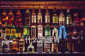 什么酒暖胃