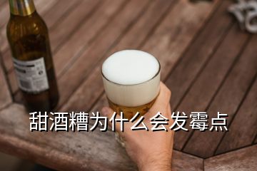 甜酒糟为什么会发霉点