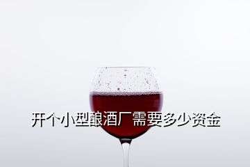 开个小型酿酒厂需要多少资金