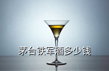 茅台铁军酒多少钱