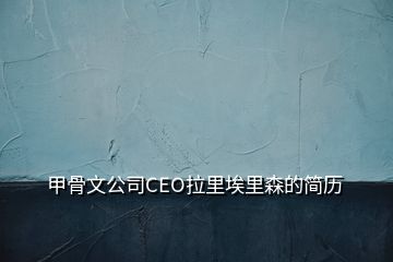 甲骨文公司CEO拉里埃里森的简历