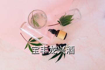 宝丰龙兴酒