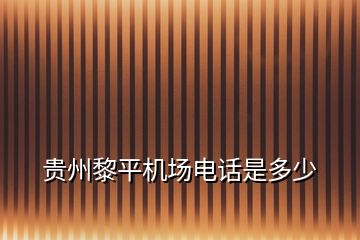 贵州黎平机场电话是多少