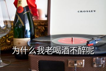 为什么我老喝酒不醉呢