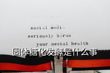 固体糖化发酵是什么事