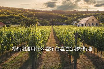 杨梅泡酒用什么酒好 白酒适合泡杨梅酒