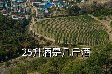 25升酒是几斤酒