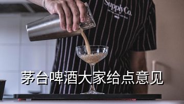 茅台啤酒大家给点意见