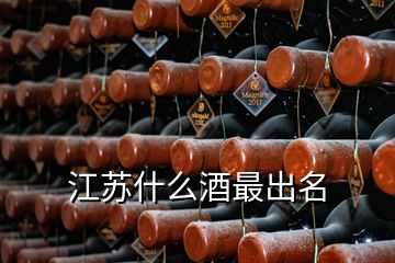 江苏什么酒最出名