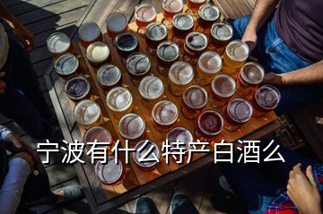 宁波有什么特产白酒么