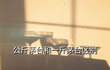 公斤茅台和一斤茅台区别