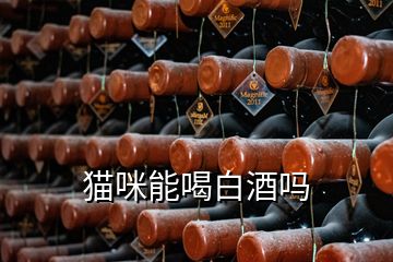 猫咪能喝白酒吗