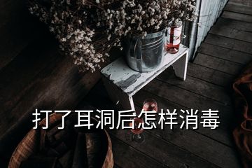 打了耳洞后怎样消毒