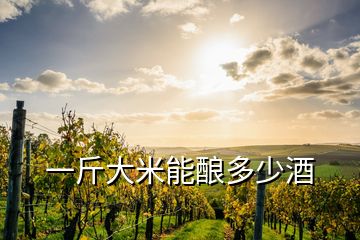 一斤大米能酿多少酒