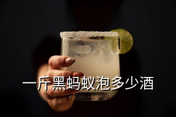 一斤黑蚂蚁泡多少酒