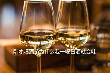 刚才喝酒了为什么我一喝白酒就会吐