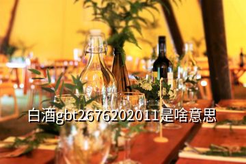 白酒gbt2676202011是啥意思