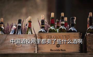 中国酒投网里都卖了些什么酒啊