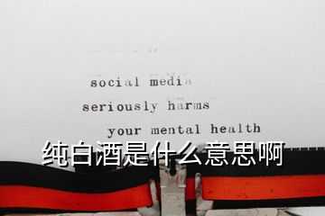 纯白酒是什么意思啊