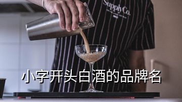 小字开头白酒的品牌名